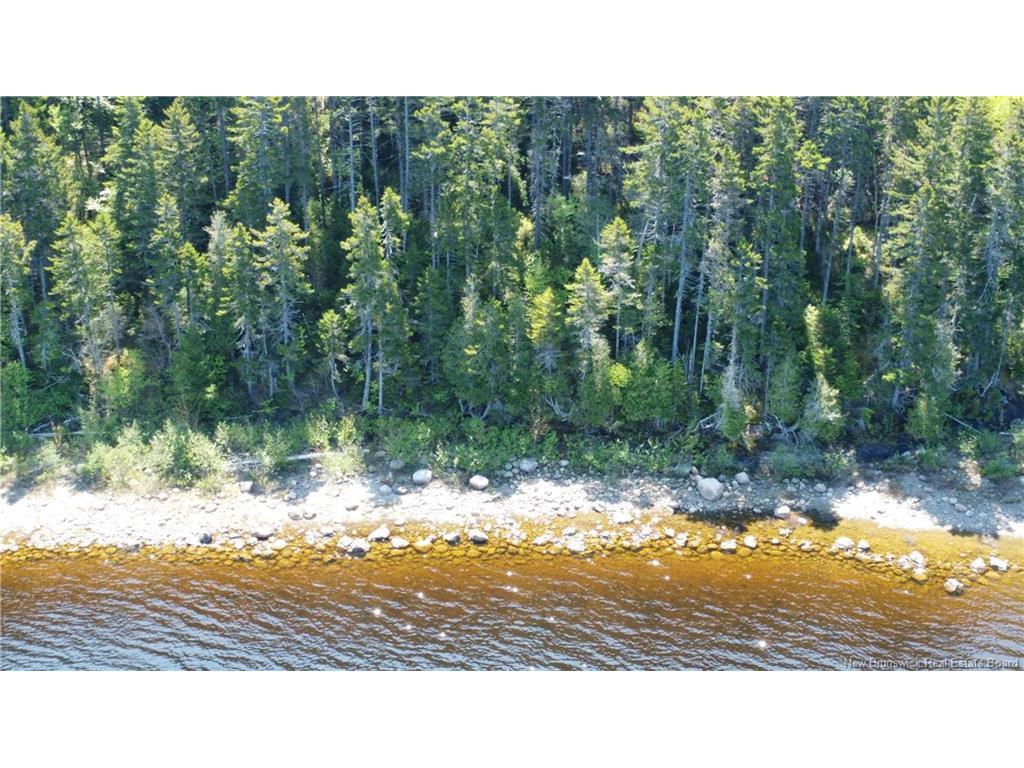 









LOT


Lydia's Ledge

RD,
Utopia,







NB
E5C 3B1

