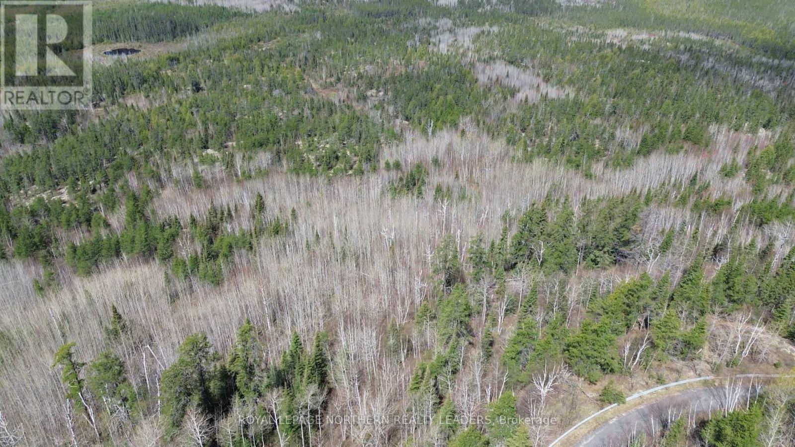 












1619 LAVA MOUNTAIN ROAD

,
Black River-Matheson (Matheson),







Ontario
P0K1R0

