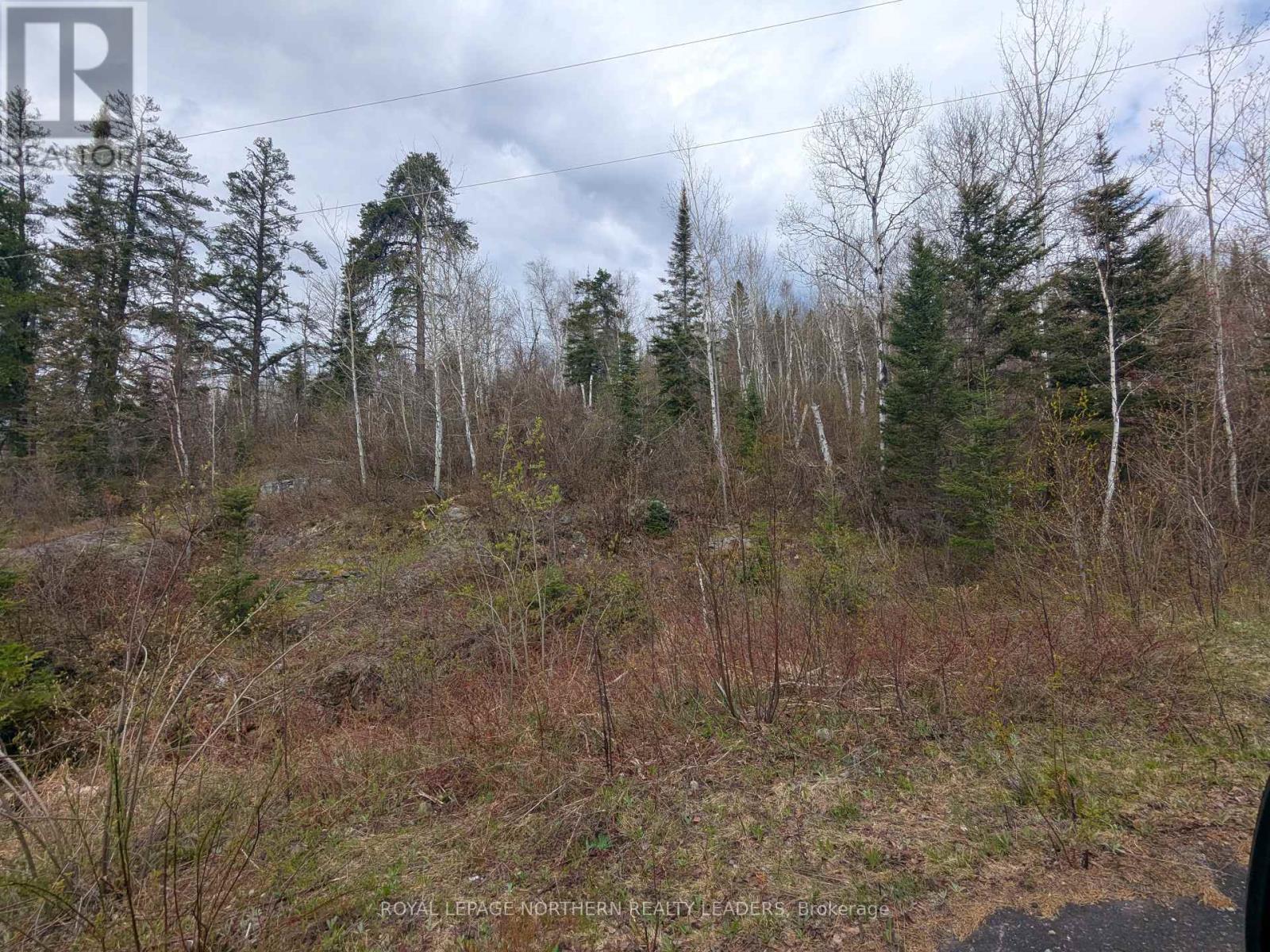 












1619 LAVA MOUNTAIN ROAD

,
Black River-Matheson (Matheson),







Ontario
P0K1R0

