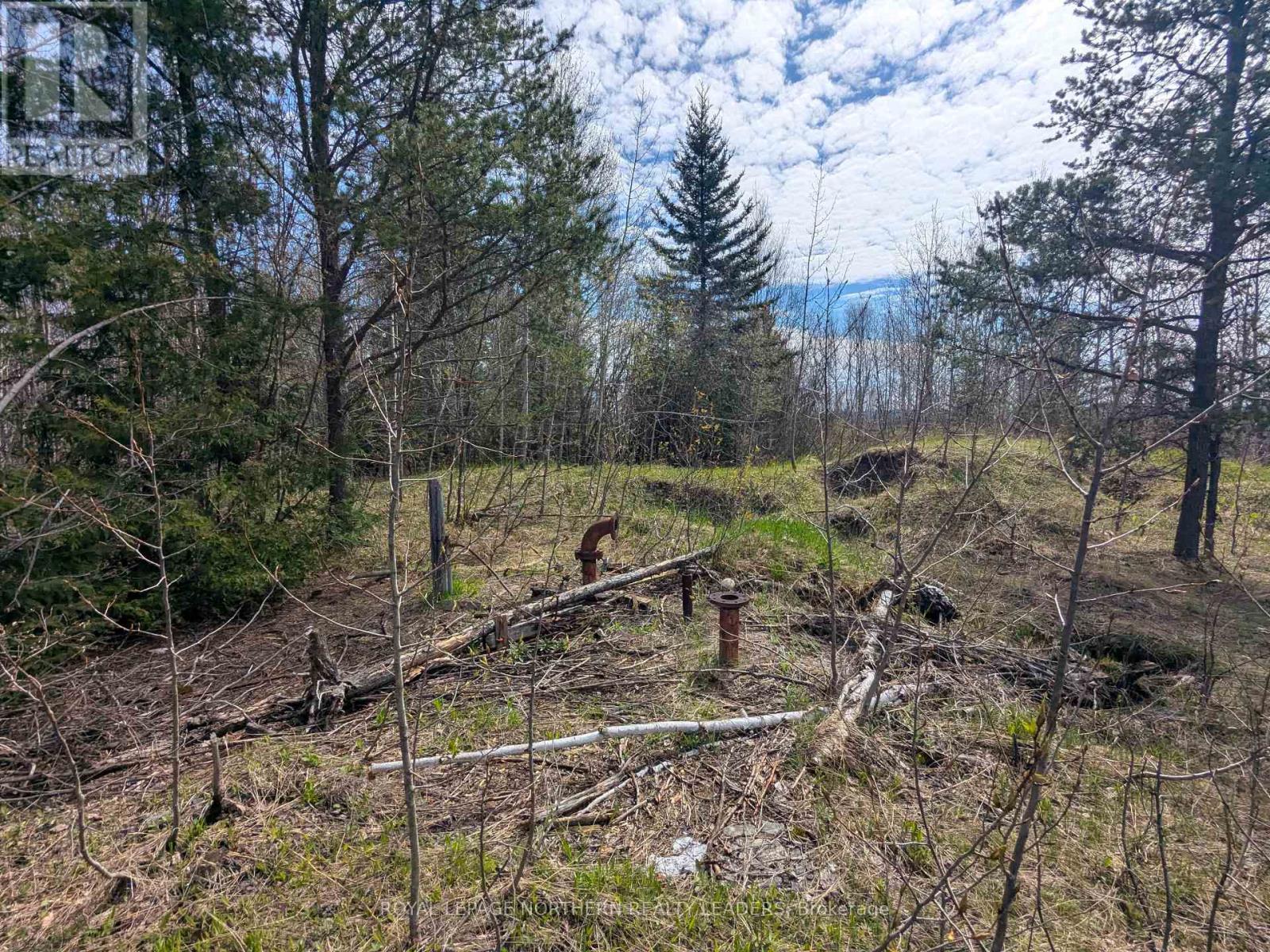 












1619 LAVA MOUNTAIN ROAD

,
Black River-Matheson (Matheson),







Ontario
P0K1R0

