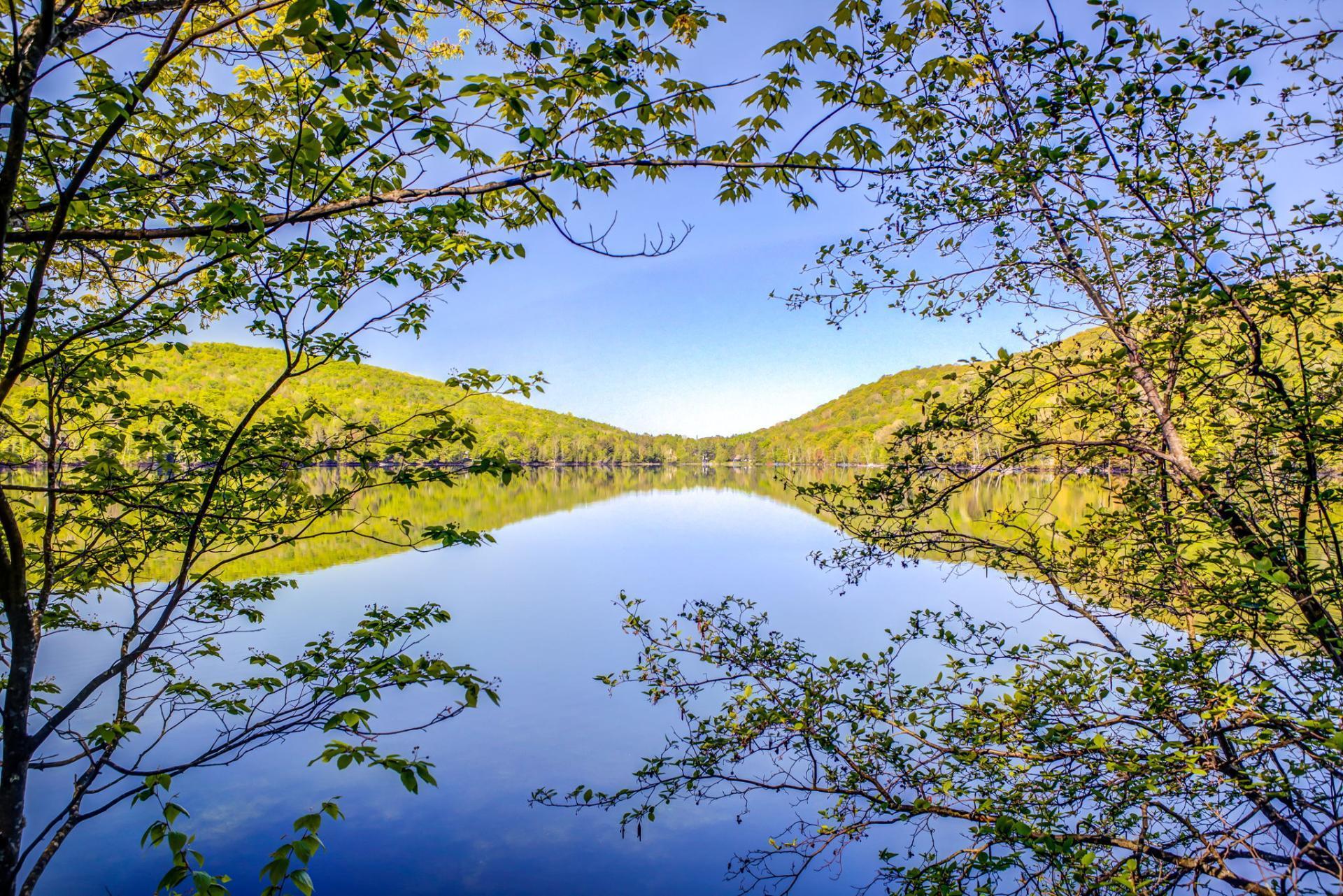 









115


Ch. des Futaies

,
Mont-Tremblant,




QC
J8E0E7

