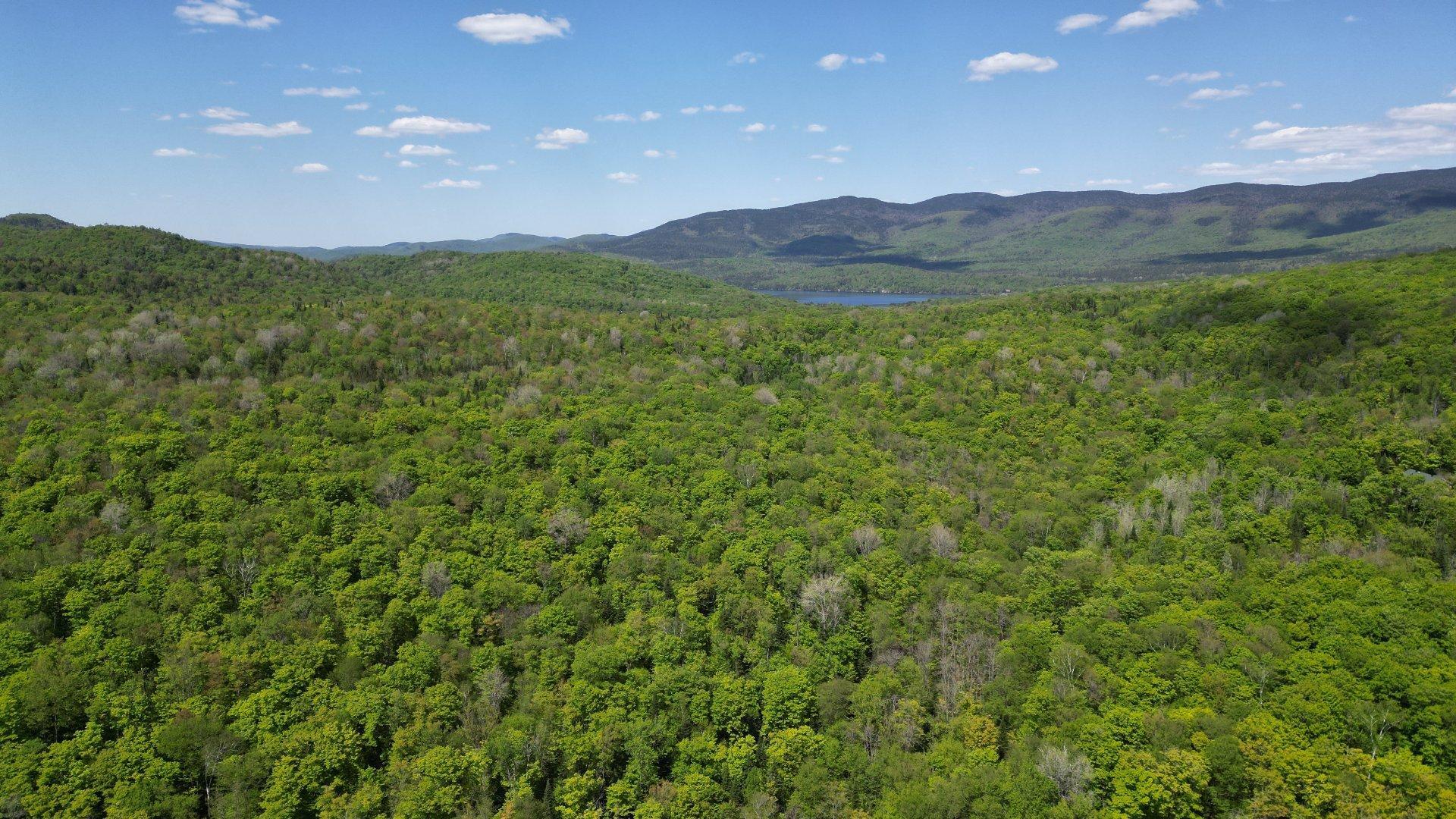 









115


Ch. des Futaies

,
Mont-Tremblant,




QC
J8E0E7

