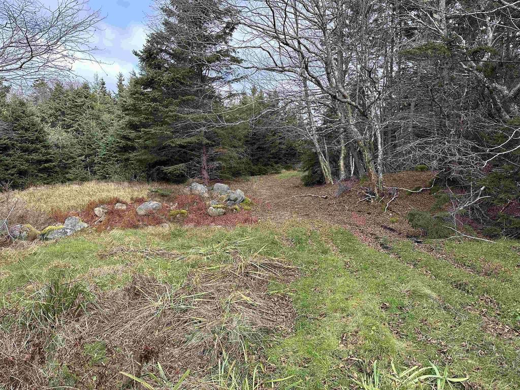 












183 Big Tancook Island Road

,
Big Tancook Island,




NS
B0J 3G0

