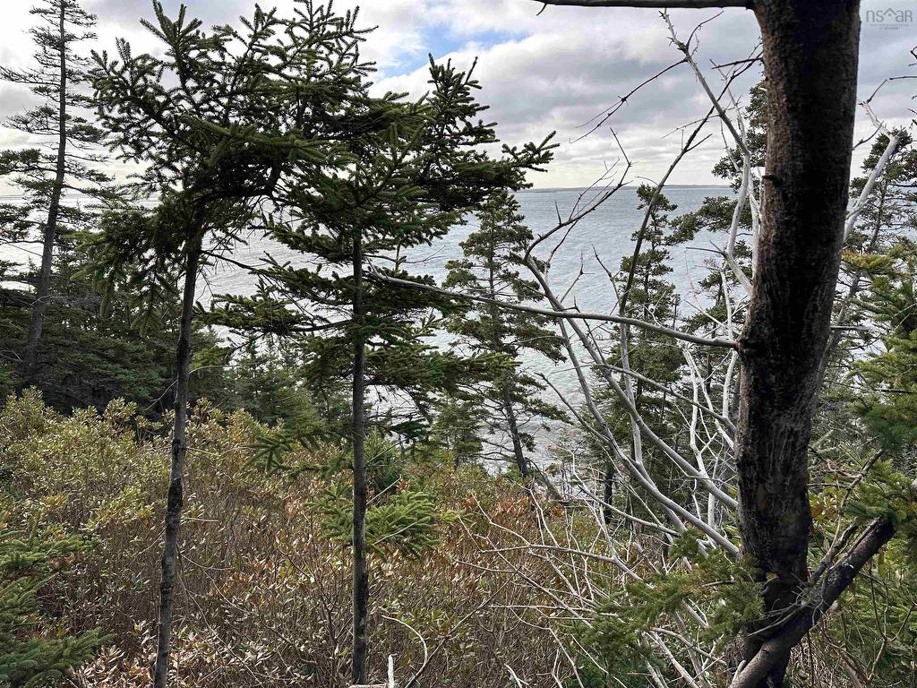 












183 Big Tancook Island Road

,
Big Tancook Island,




NS
B0J 3G0

