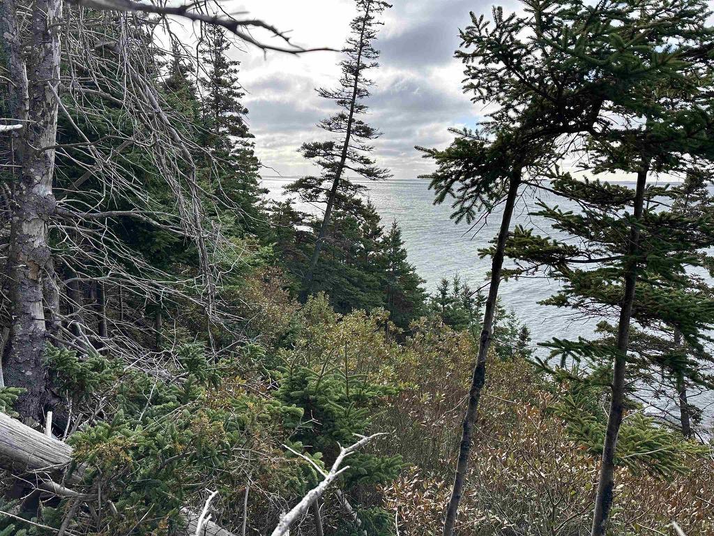 












183 Big Tancook Island Road

,
Big Tancook Island,




NS
B0J 3G0

