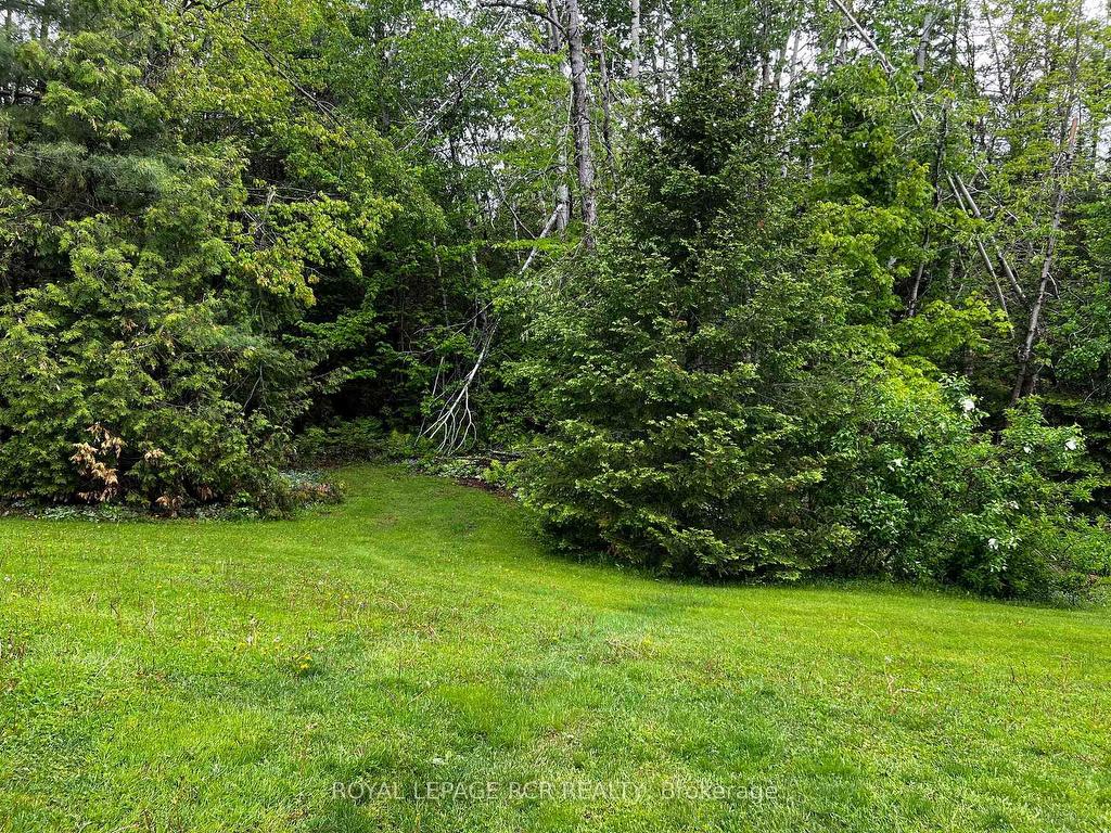 









71


Tamarack

Drive,
Oro-Medonte,




ON
L0L 1T0

