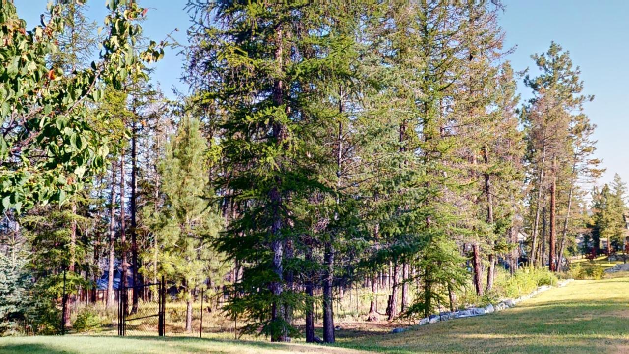 









1613


Mount Royal Peak

,
Cranbrook,







BC
V1C 0C4

