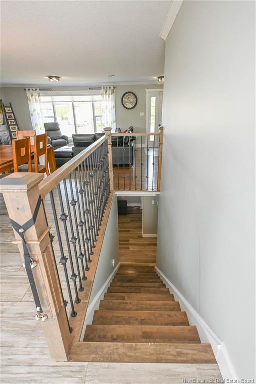 









103


rue du Pêcheur N.

ST,
Lamèque,




NB
E8T 1K6

