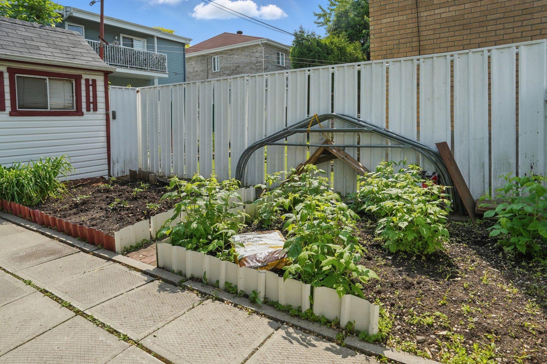 









11383


Av. de Bruxelles

,
Montréal (Montréal-Nord),




QC
H1H4S3

