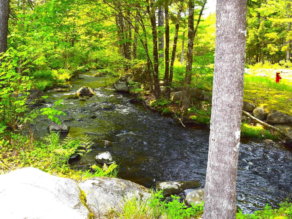 












151 Second Brook Road

,
Western Shore,







NS
B0J 3M0

