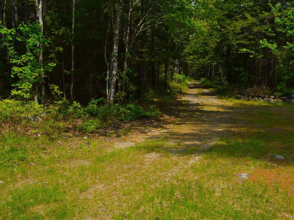 












151 Second Brook Road

,
Western Shore,







NS
B0J 3M0

