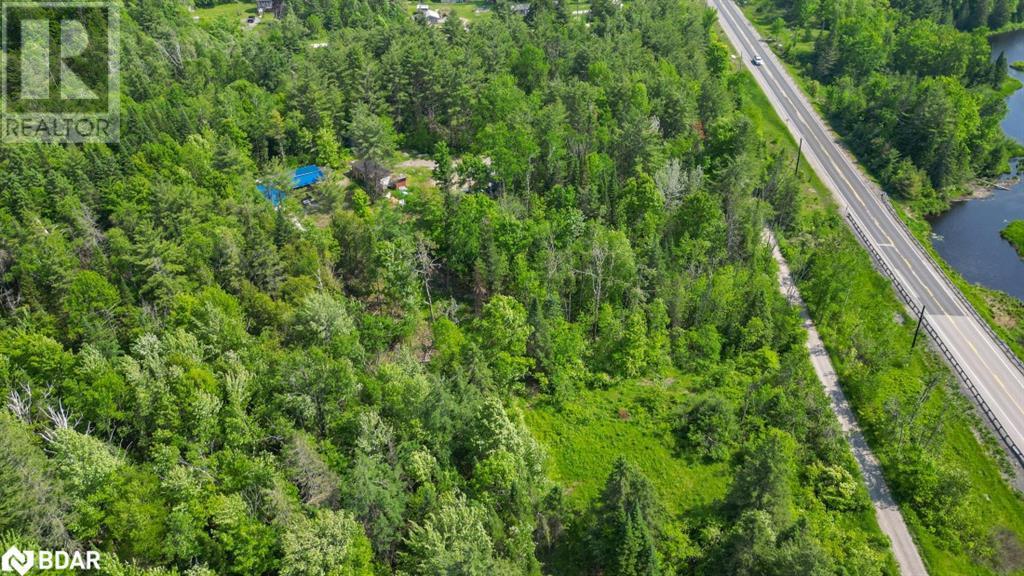 












4 WOLF LAKE WOLF LAKE Road

,
Madoc,







Ontario
K0K1Y0

