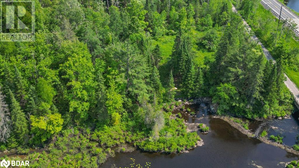












4 WOLF LAKE WOLF LAKE Road

,
Madoc,







Ontario
K0K1Y0

