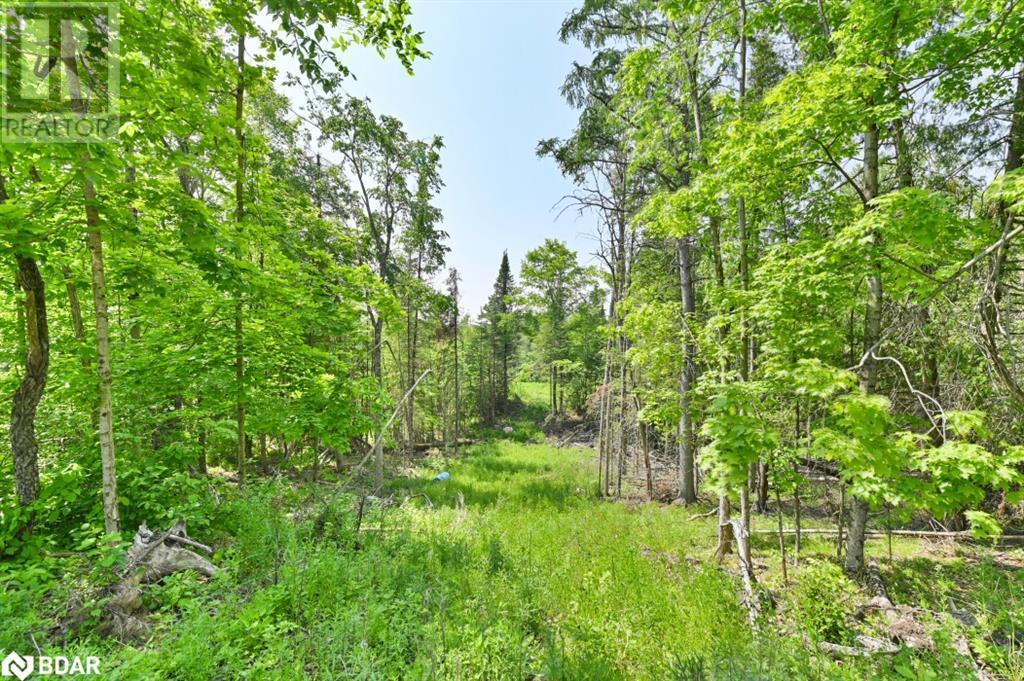 












4 WOLF LAKE WOLF LAKE Road

,
Madoc,







Ontario
K0K1Y0

