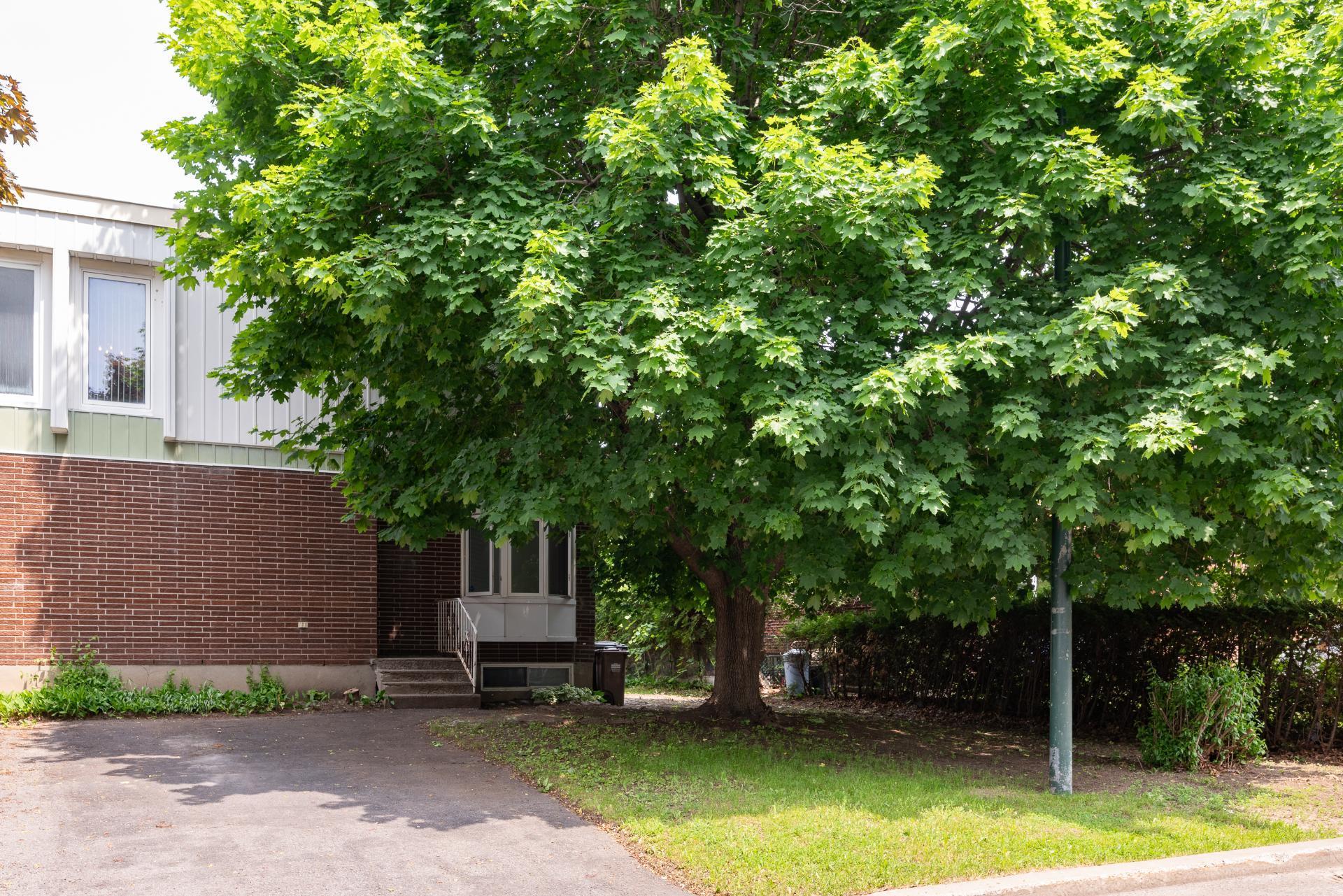 









890


Rue Picard

,
Brossard,




QC
J4W1S5


