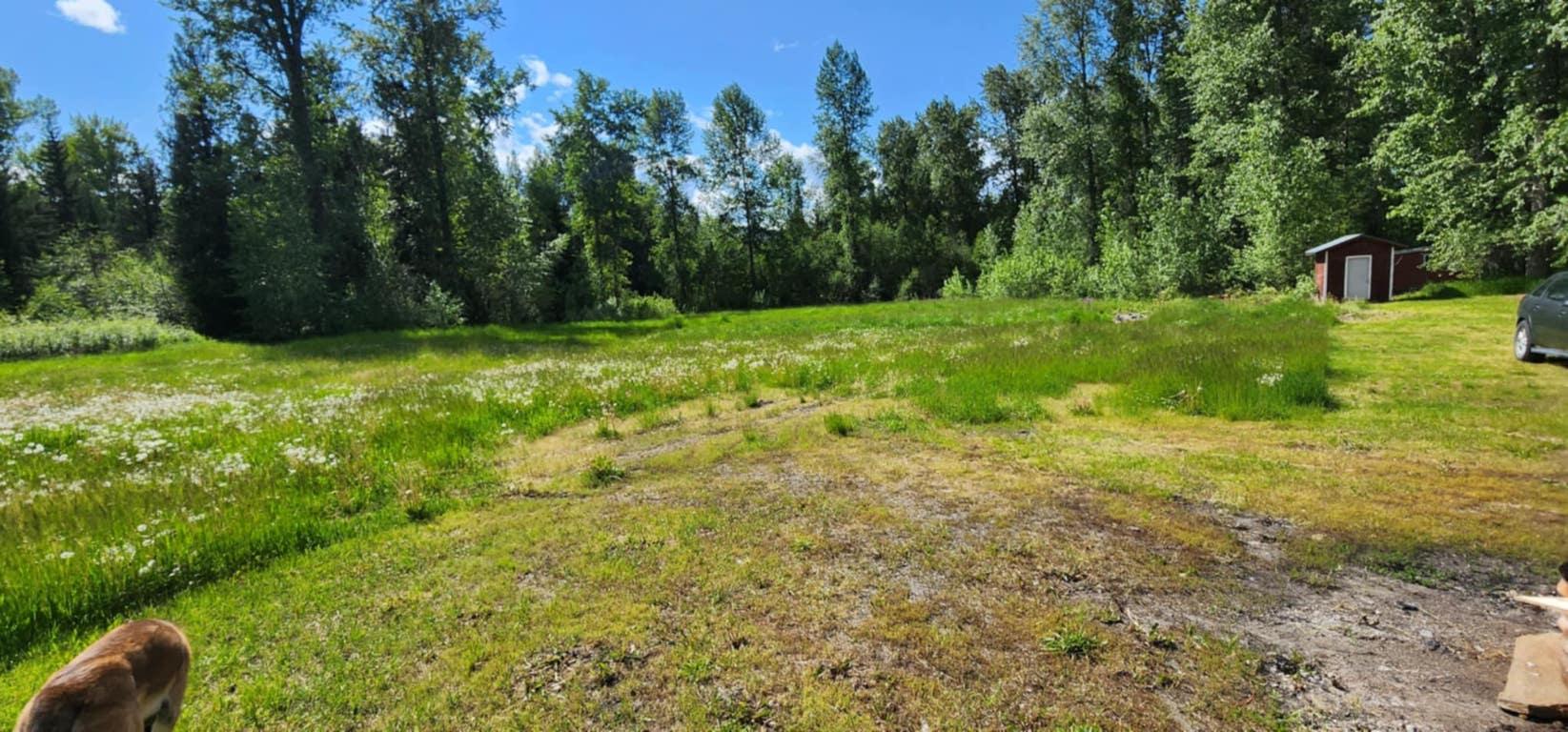 









1666


Trinity Valley

Road,
Lumby,




BC
V0E 2G4

