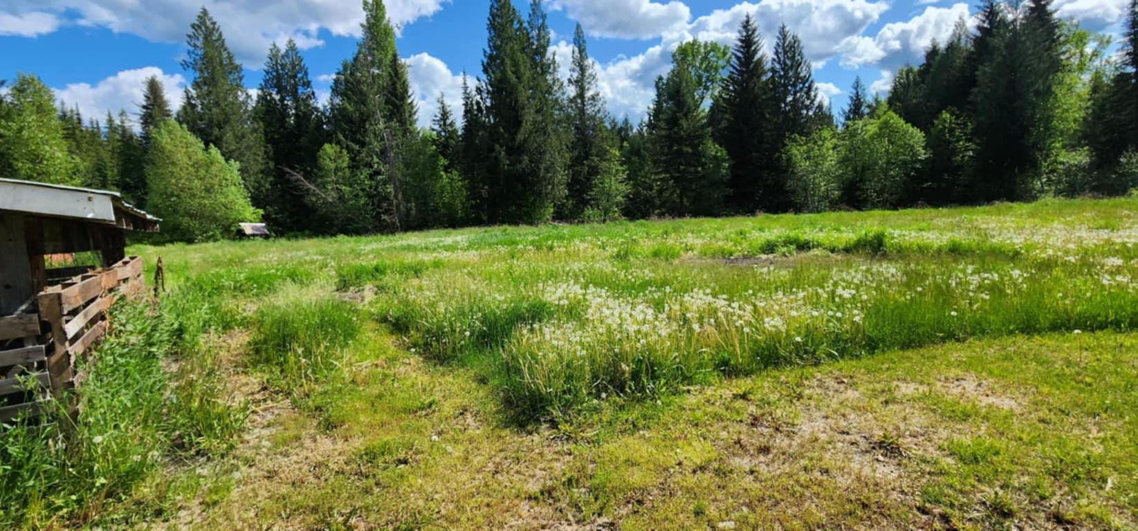 









1666


Trinity Valley

Road,
Lumby,




BC
V0E 2G4

