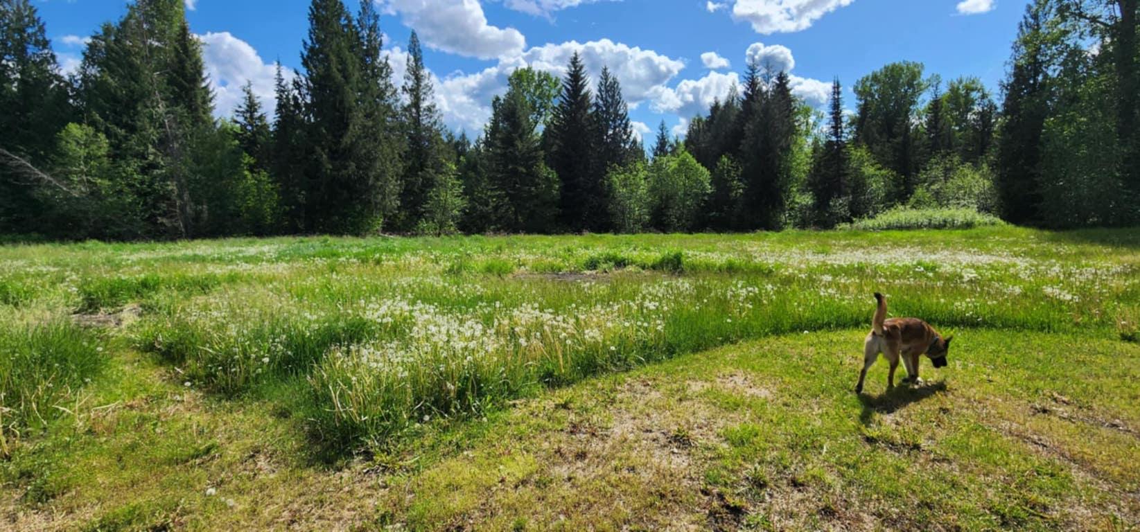 









1666


Trinity Valley

Road,
Lumby,




BC
V0E 2G4

