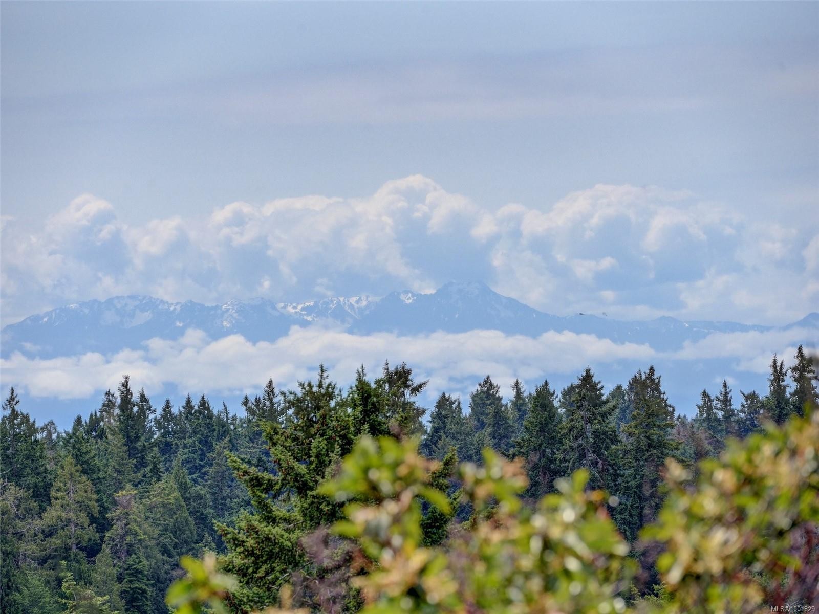 









641


Olympia

Ridge,
Langford,




BC
V9B 6N9

