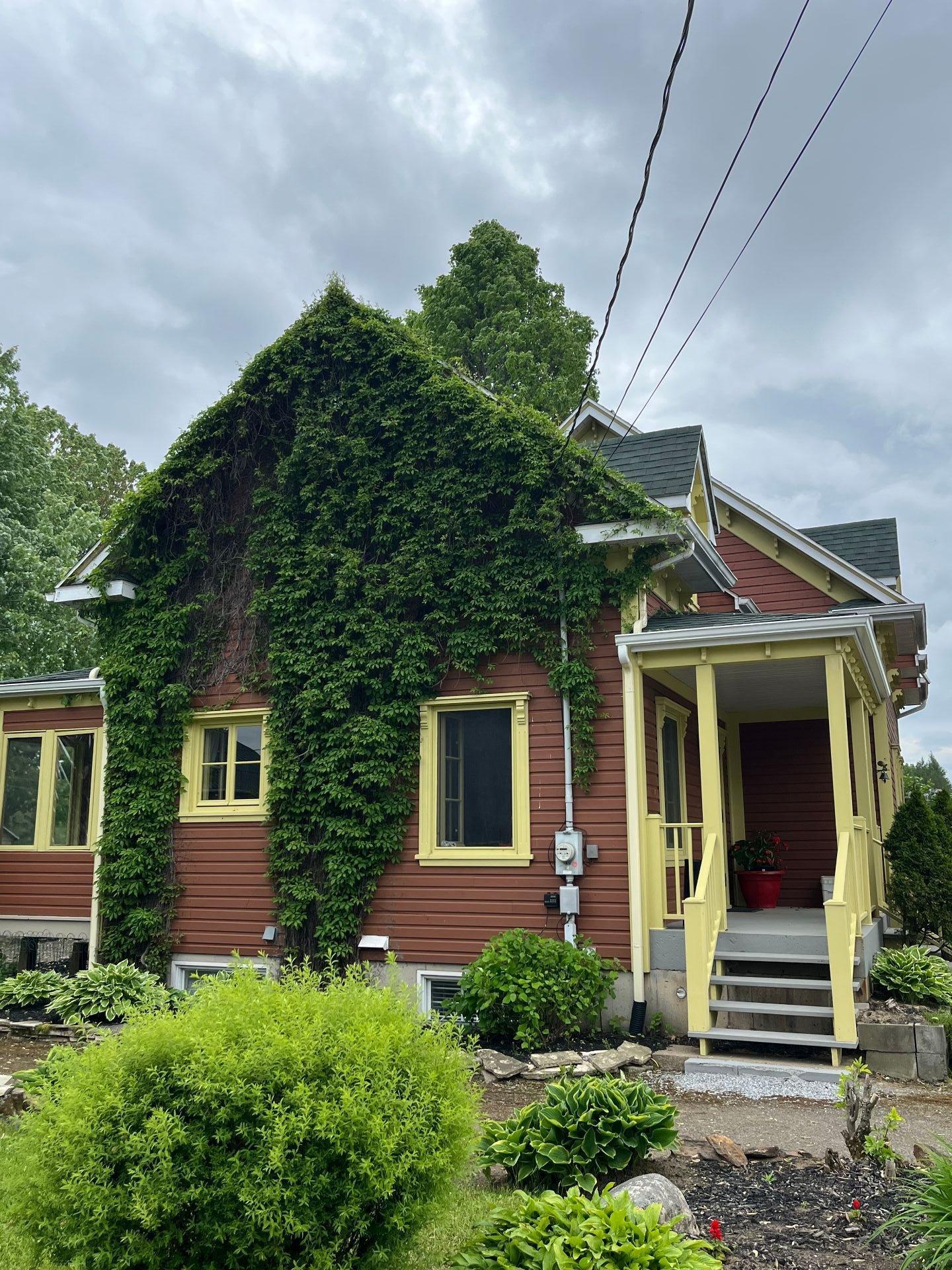 









441


Ch. Marcotte

,
Saint-Étienne-des-Grès,




QC
G0X2P0

