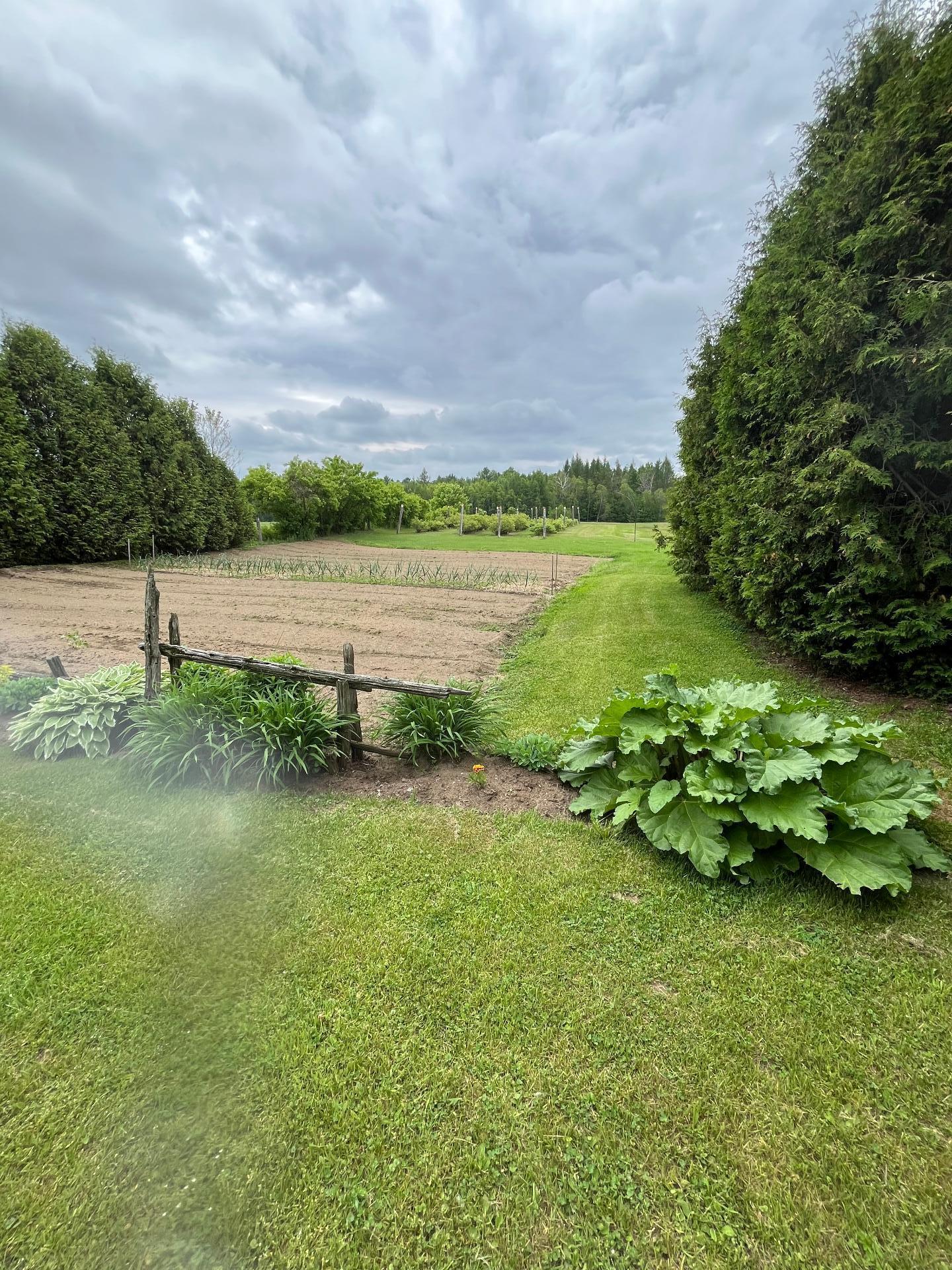 









441


Ch. Marcotte

,
Saint-Étienne-des-Grès,




QC
G0X2P0

