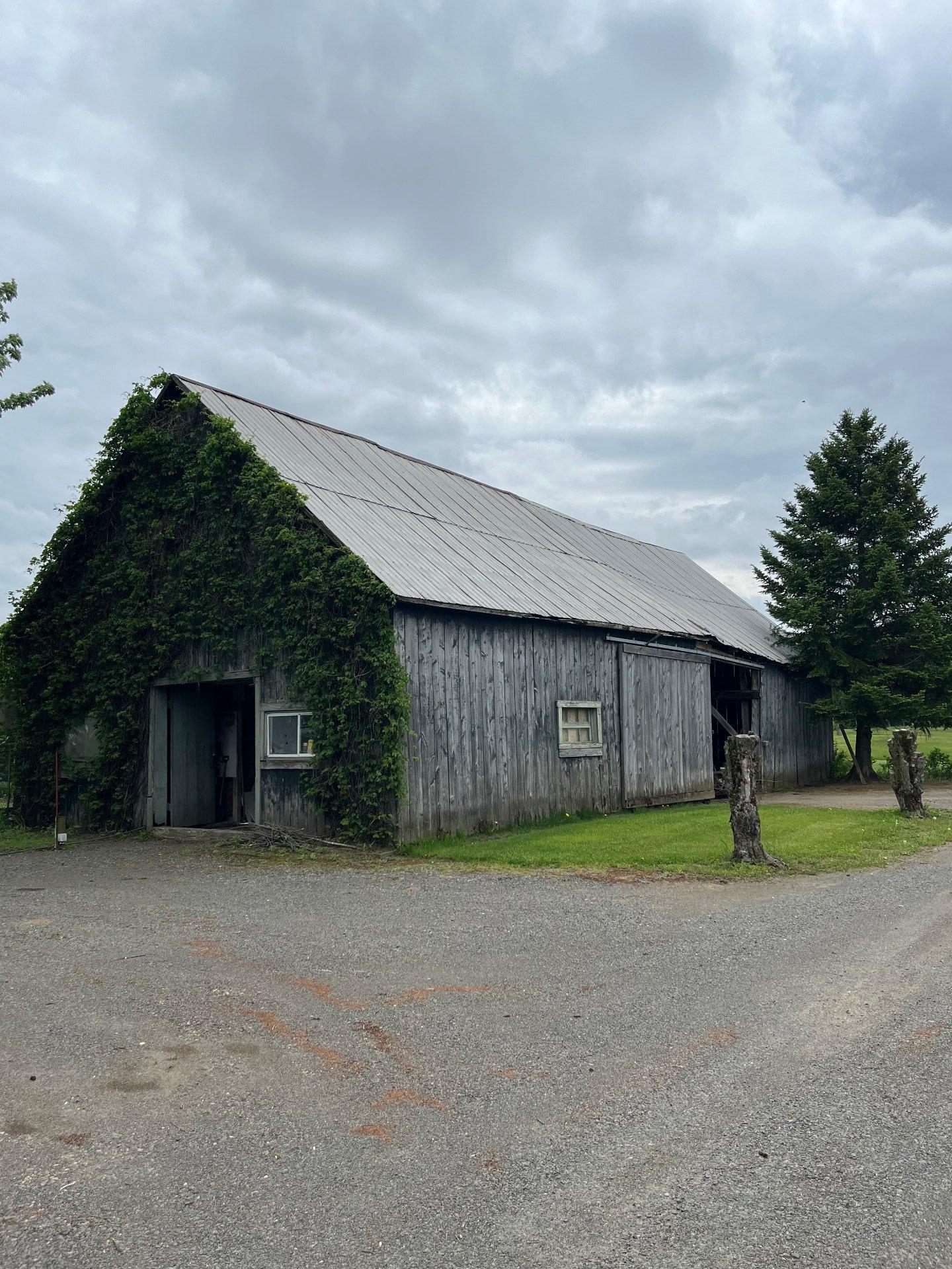 









441


Ch. Marcotte

,
Saint-Étienne-des-Grès,




QC
G0X2P0

