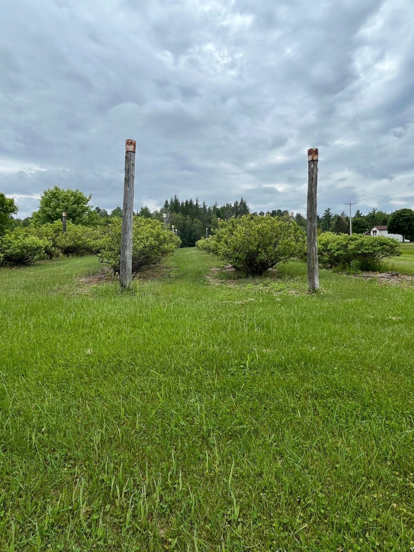 









441


Ch. Marcotte

,
Saint-Étienne-des-Grès,




QC
G0X2P0

