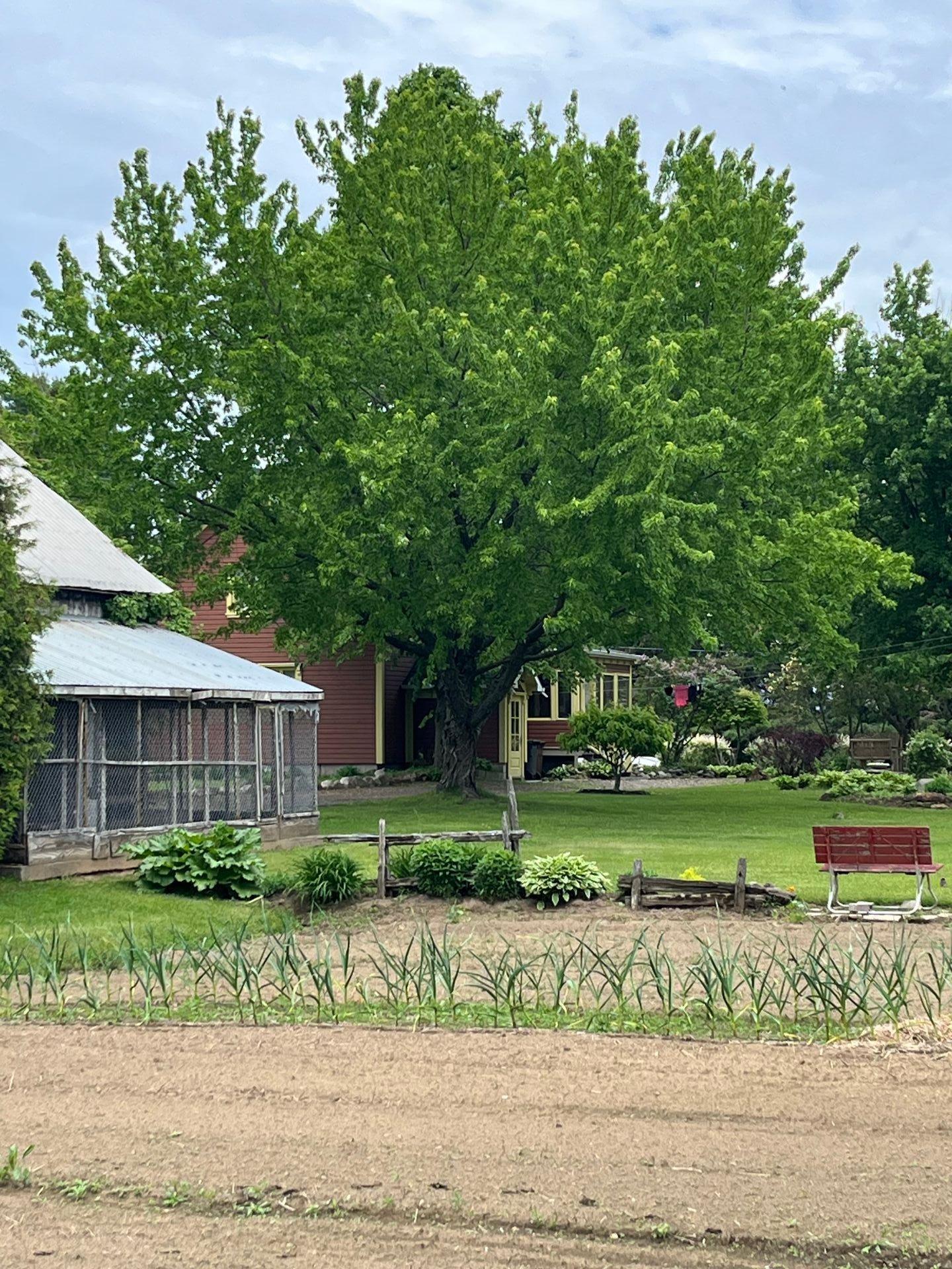









441


Ch. Marcotte

,
Saint-Étienne-des-Grès,




QC
G0X2P0

