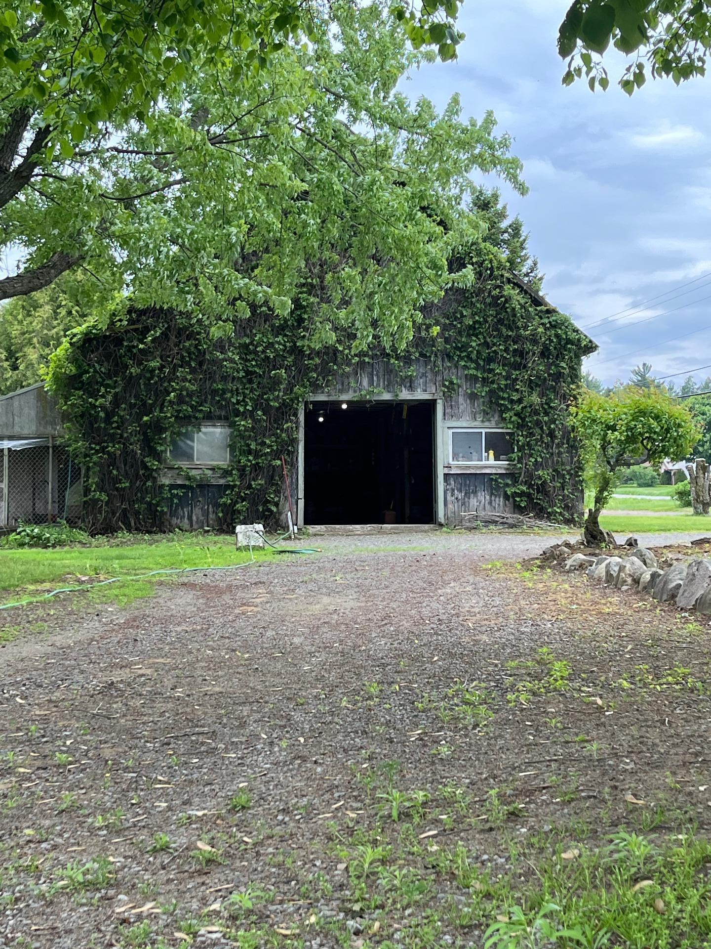 









441


Ch. Marcotte

,
Saint-Étienne-des-Grès,




QC
G0X2P0

