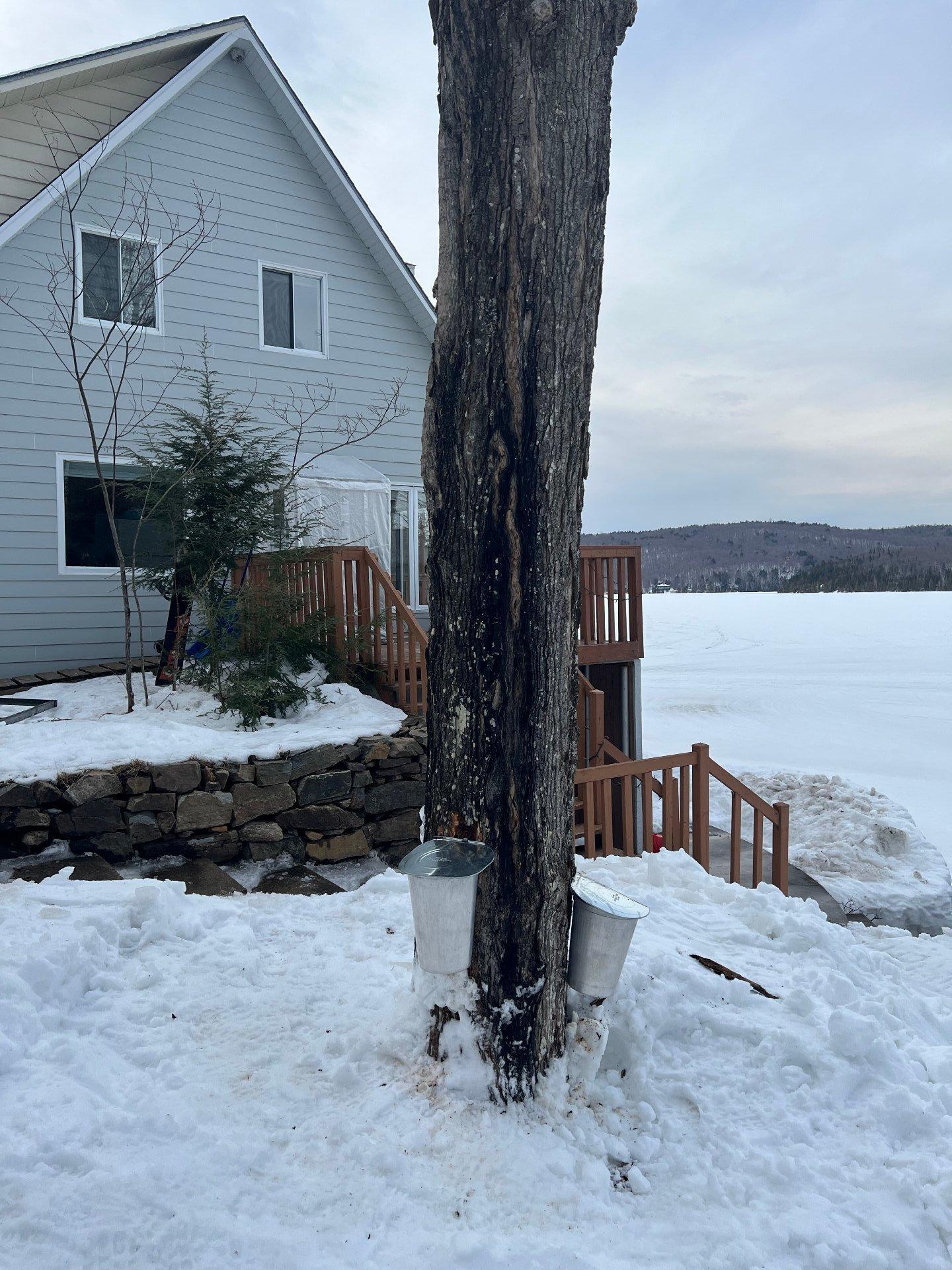 









3901


Ch. Laperrière

,
Shawinigan,




QC
G9T0C3


