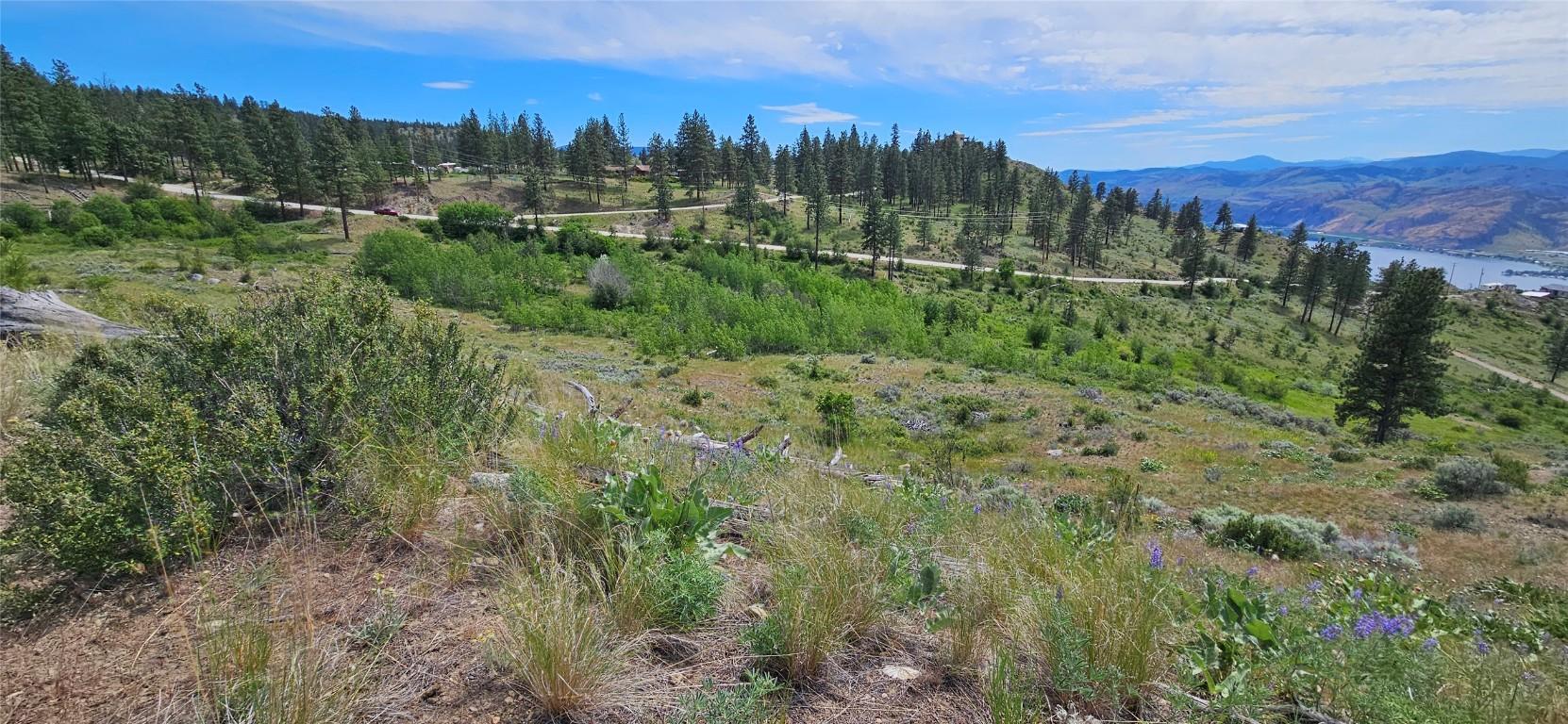 









389


Chapman

Road,
Osoyoos,







BC
V0H 1V6

