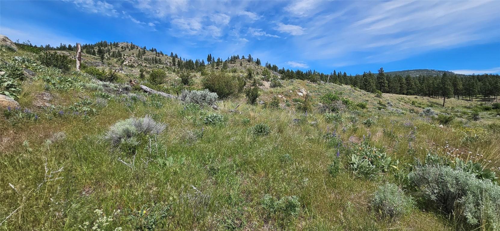









389


Chapman

Road,
Osoyoos,







BC
V0H 1V6


