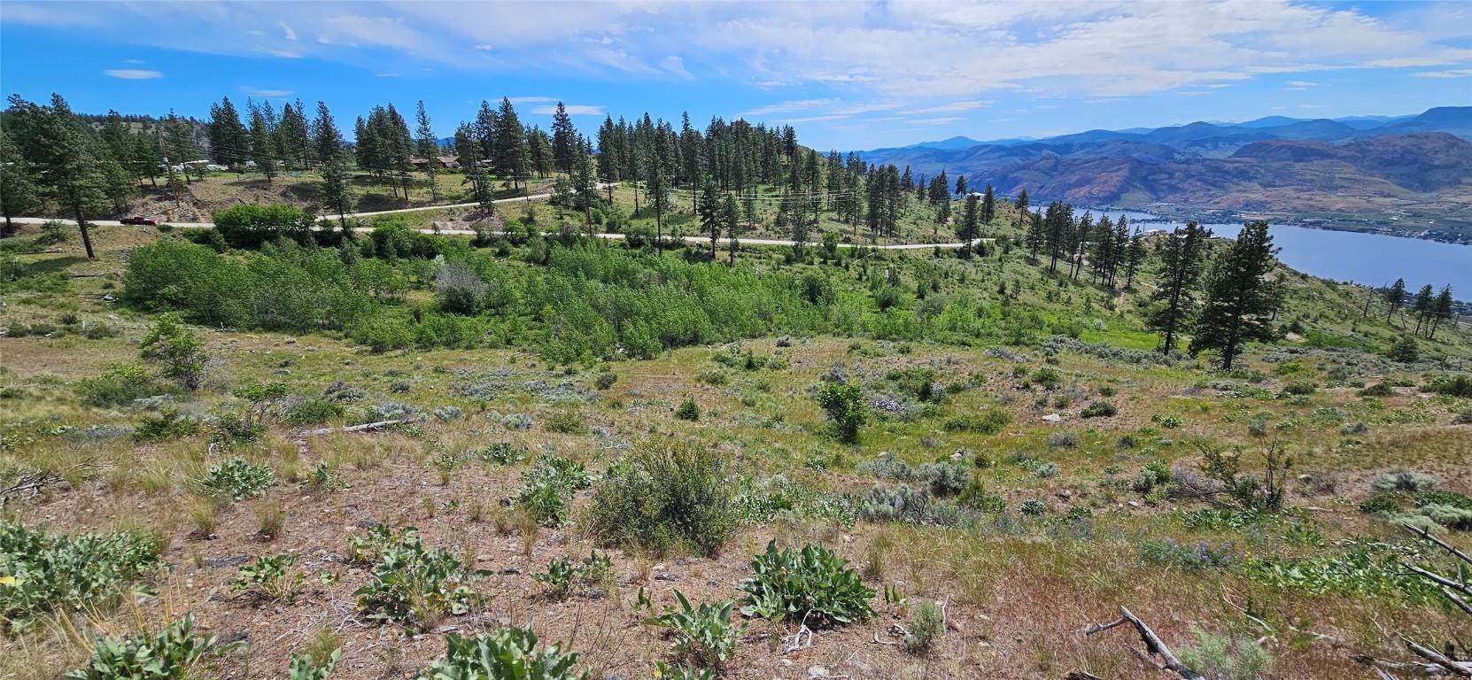 









389


Chapman

Road,
Osoyoos,







BC
V0H 1V6

