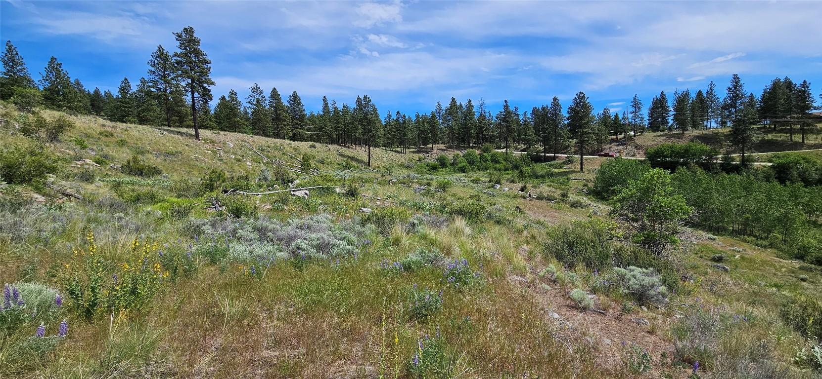 









389


Chapman

Road,
Osoyoos,







BC
V0H 1V6

