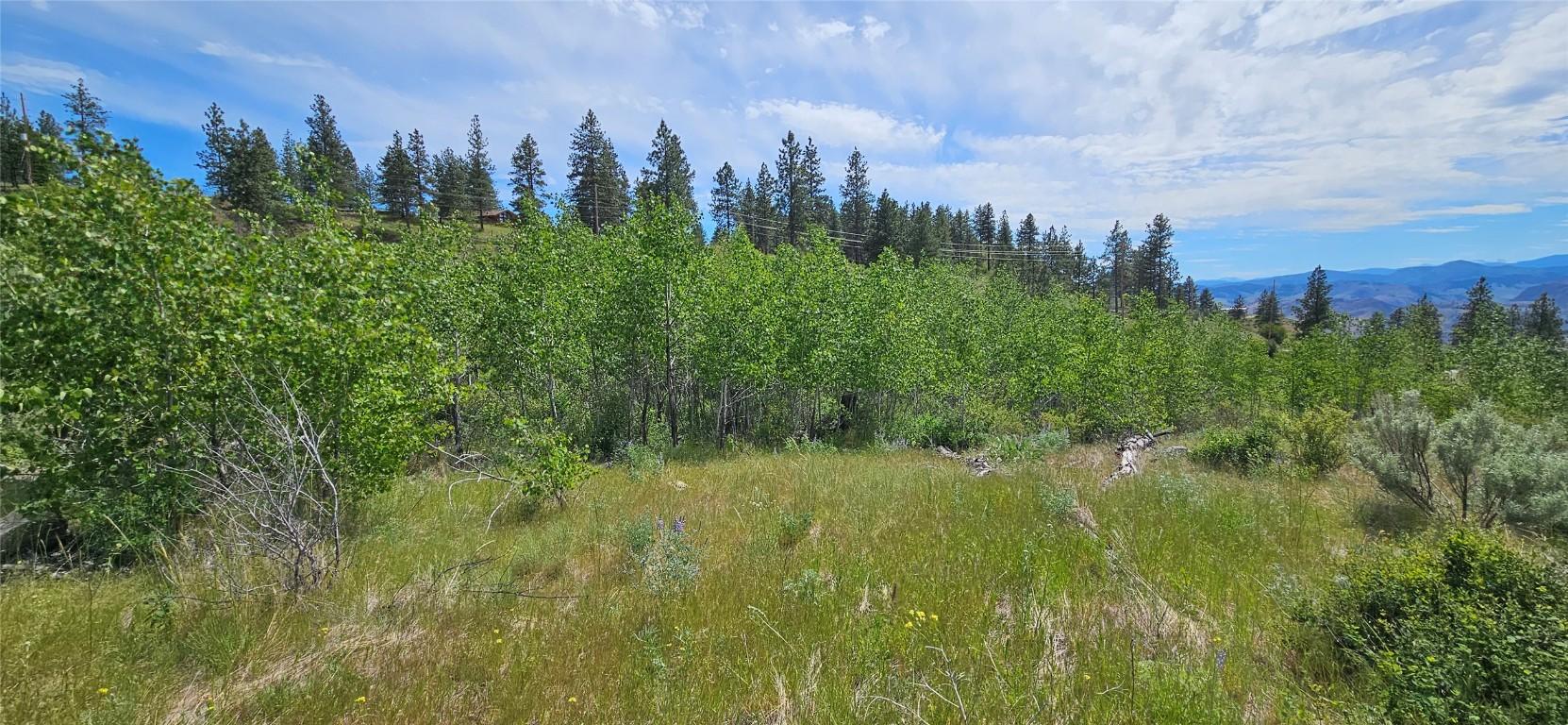 









389


Chapman

Road,
Osoyoos,







BC
V0H 1V6

