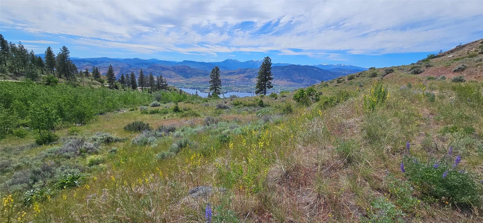 









389


Chapman

Road,
Osoyoos,







BC
V0H 1V6

