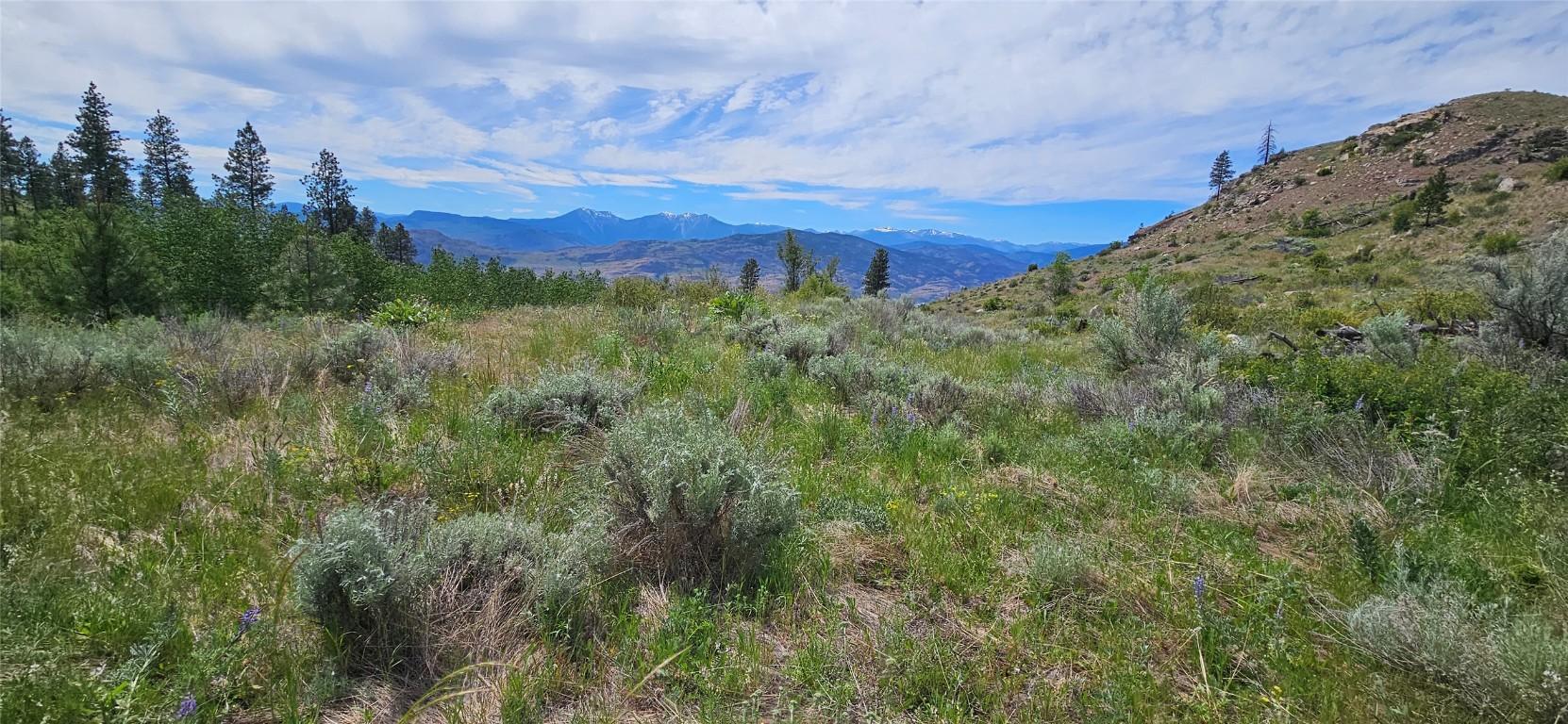 









389


Chapman

Road,
Osoyoos,







BC
V0H 1V6

