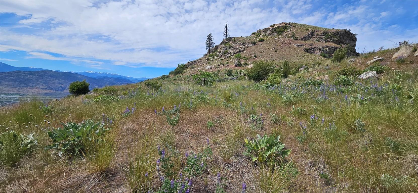 









389


Chapman

Road,
Osoyoos,







BC
V0H 1V6

