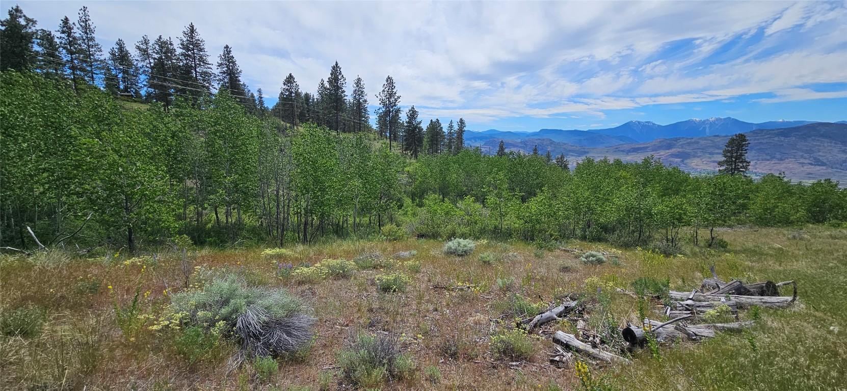 









389


Chapman

Road,
Osoyoos,







BC
V0H 1V6


