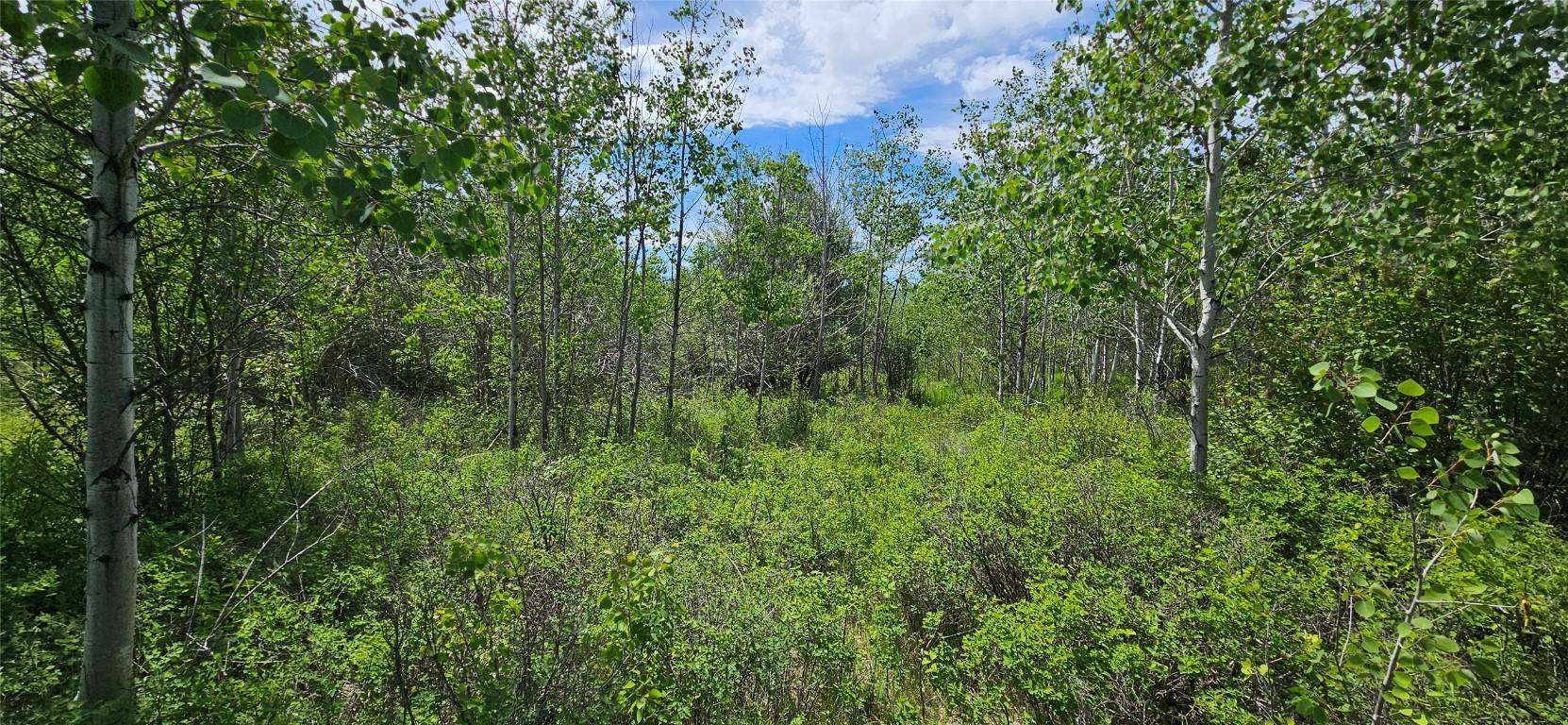









389


Chapman

Road,
Osoyoos,







BC
V0H 1V6

