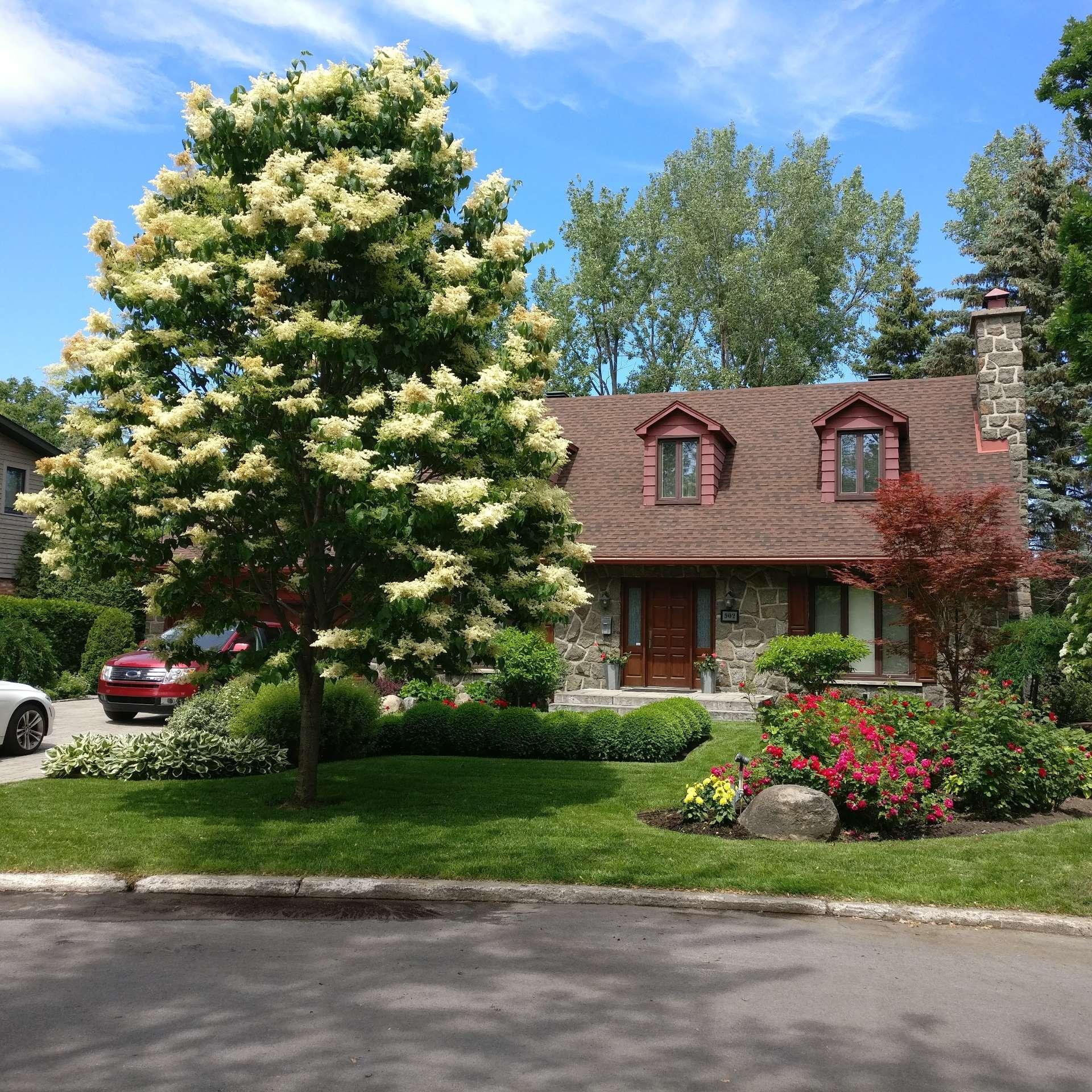 









902


Crois. Île-de-France

,
Saint-Lambert,




QC
J4S1T7

