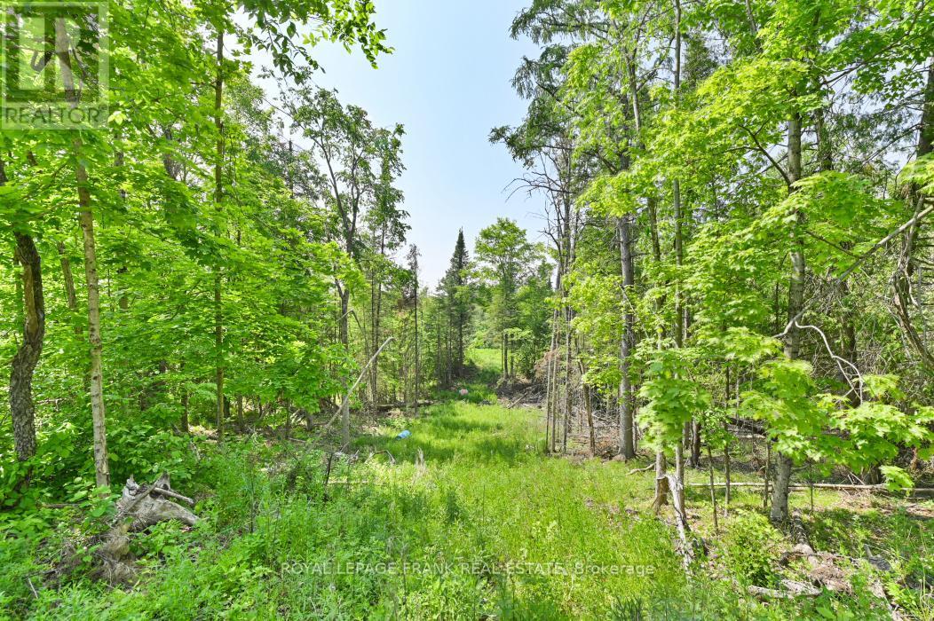 












4 WOLF LAKE ROAD

,
Madoc,







Ontario
K0K1Y0

