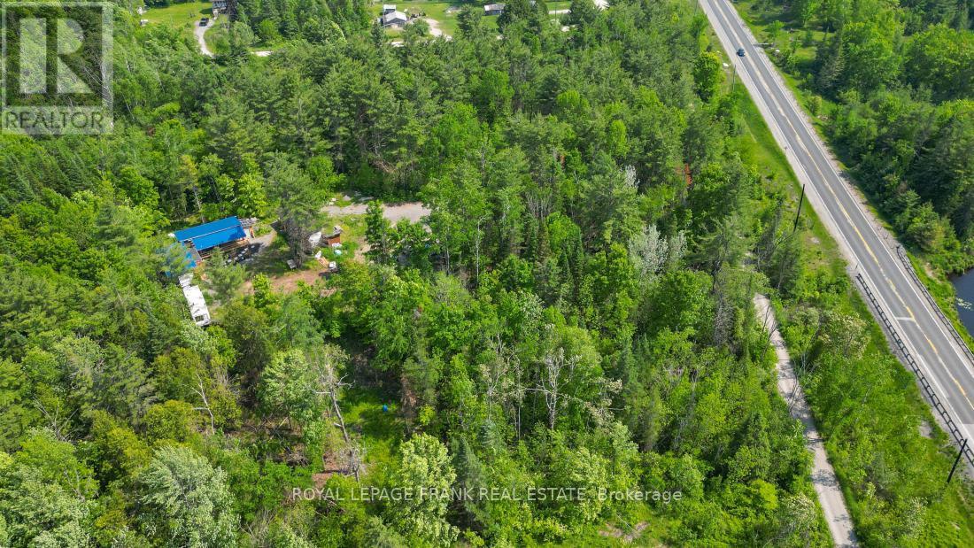 












4 WOLF LAKE ROAD

,
Madoc,







Ontario
K0K1Y0

