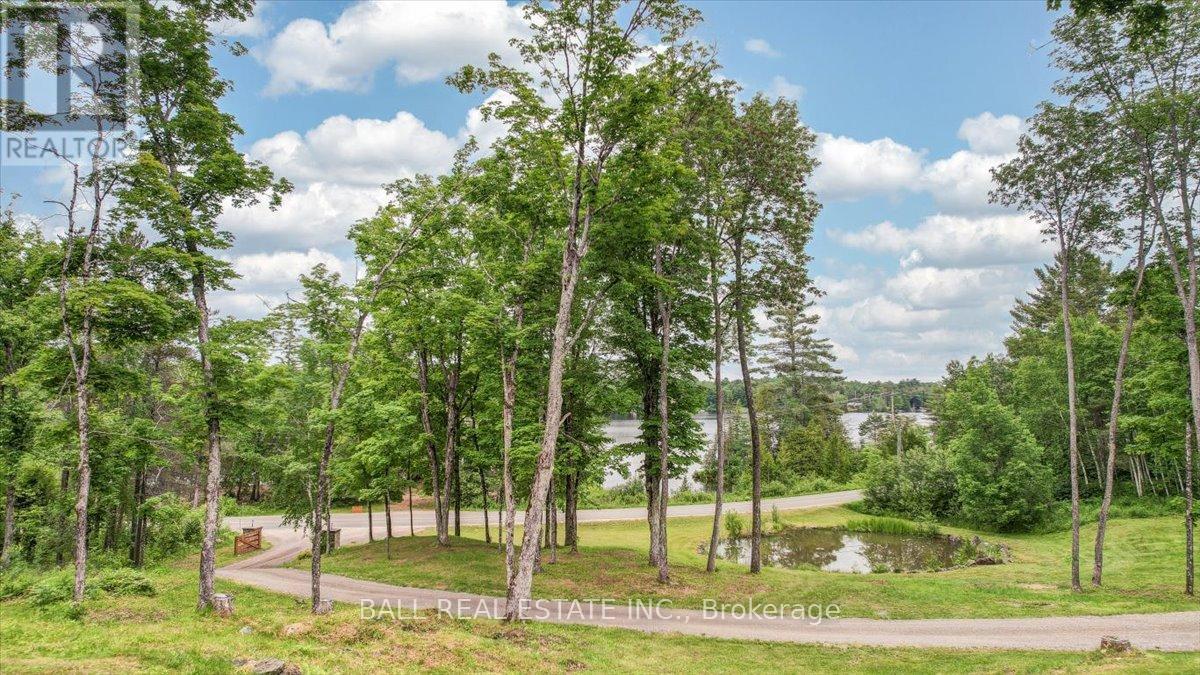 












944 STEENBURG LAKE ROAD N

,
Limerick,




Ontario
K0L1W0

