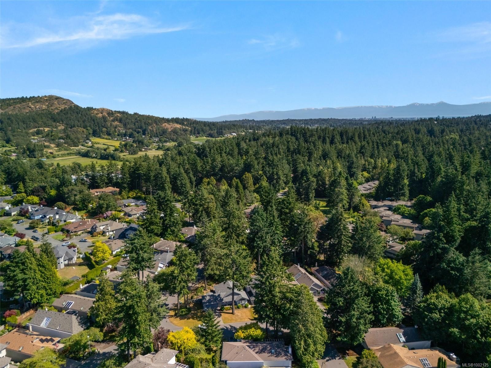 









4685


Scottswood

Pl,
Saanich,




BC
V8Y 2Y1

