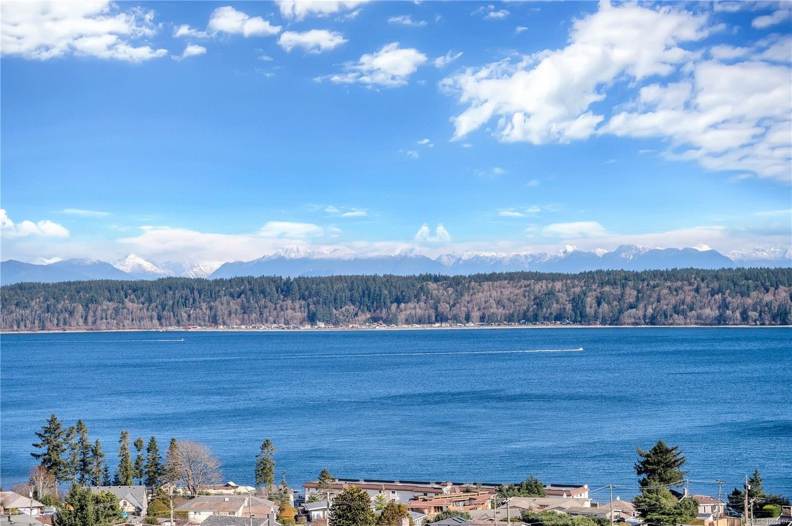 









253


Alder

St South,
Campbell River,




BC
V9W 2M9

