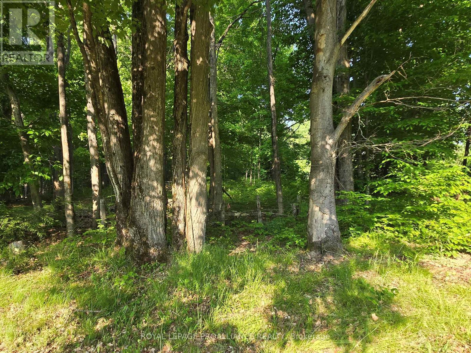 












2476 HENDERSON ROAD

,
Central Frontenac (Frontenac Centre),







Ontario
K0H1B0

