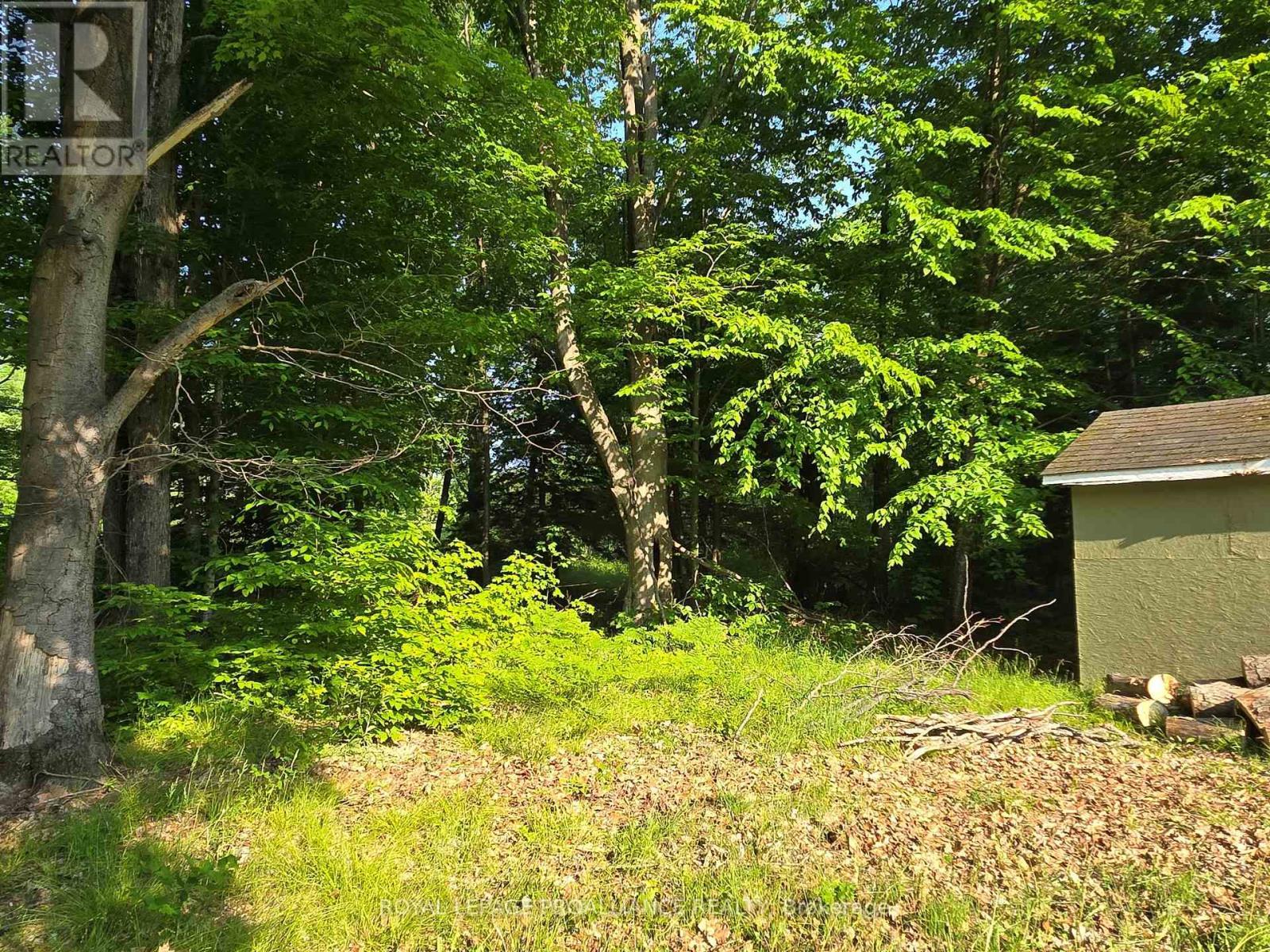 












2476 HENDERSON ROAD

,
Central Frontenac (Frontenac Centre),







Ontario
K0H1B0

