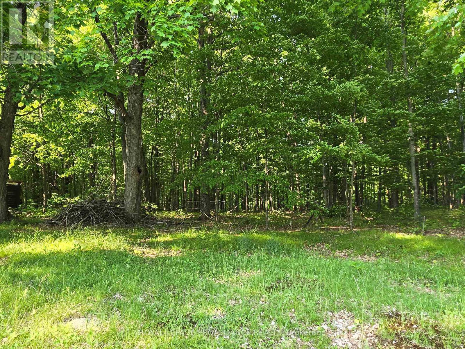 












2476 HENDERSON ROAD

,
Central Frontenac (Frontenac Centre),







Ontario
K0H1B0

