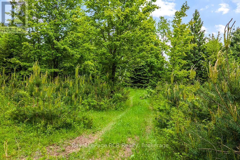 












796172 EAST BACK LINE

,
Chatsworth,




Ontario
N0H1C0

